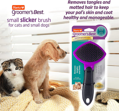 HARTZ, Groomer'S Best Small Slicker Brush for Cats and Small Dogs, Black/Violet, 1 Count