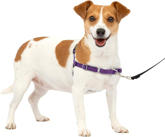 Petsafe Easy Walk No-Pull Dog Harness - the Ultimate Harness to Help Stop Pulling - Take Control & Teach Better Leash Manners - Helps Prevent Pets Pulling on Walks - Small, Deep Purple/Black