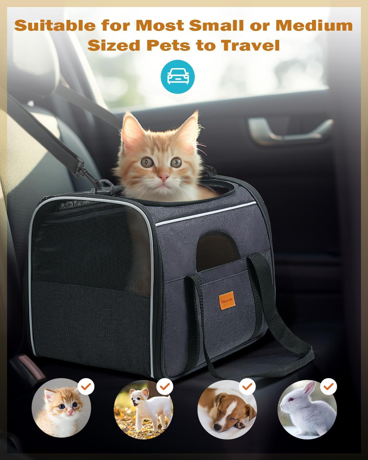 Morpilot Cat Carrier - Soft Sided Cat Carrier Large for Big Medium Cats and Puppy up to 15Lbs, Pet Carrier with Safety Zippers, Foldable Bowl, Airline Approved Large Cat Carrier - Dark Gray