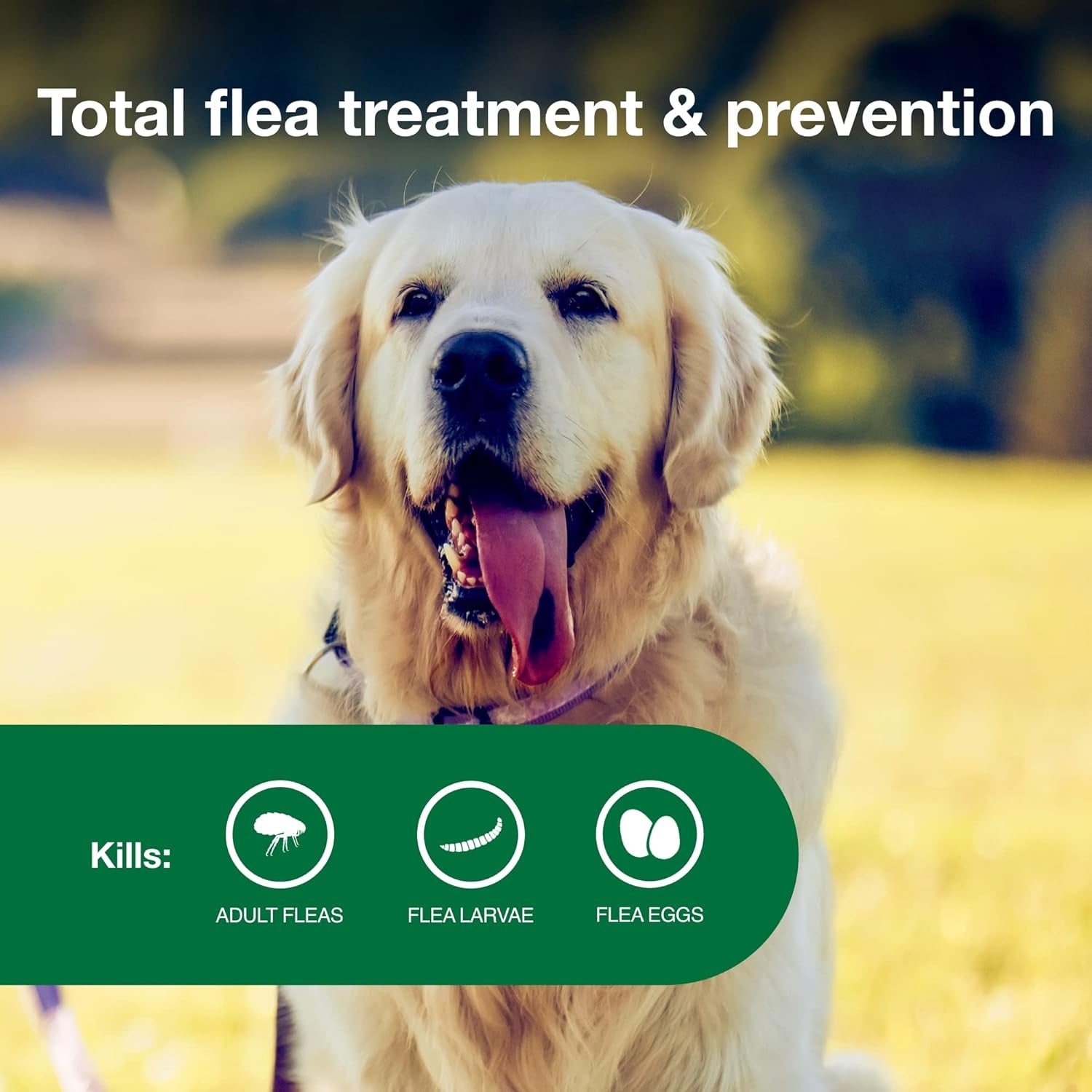 Advantage II Large Dog Vet-Recommended Flea Treatment & Prevention | Dogs 21-55 Lbs. | 6-Month Supply