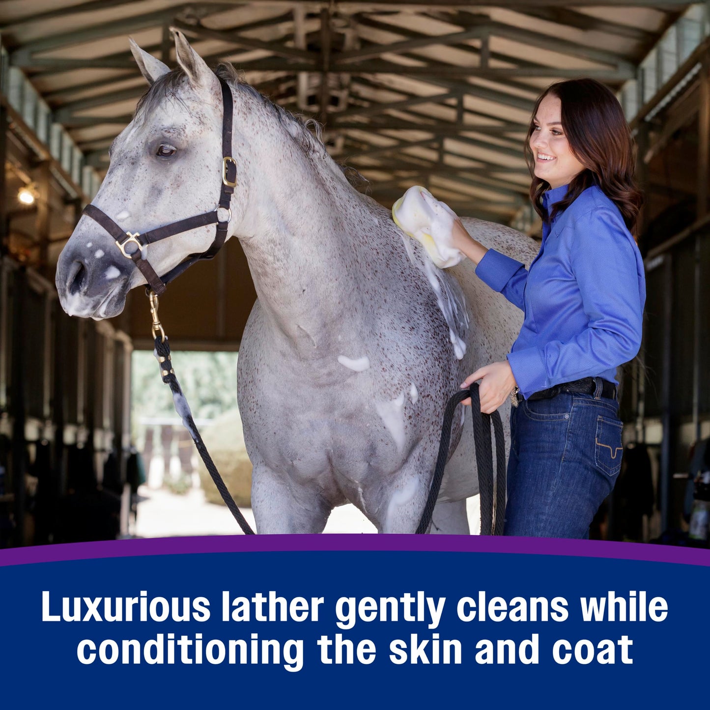 Farnam Vetrolin Bath, Ultra-Hydrating Argan Oil Conditioning Shampoo, Enhances Shine, Soothes Dry Skin, for Horses and Dogs, 64 oz.