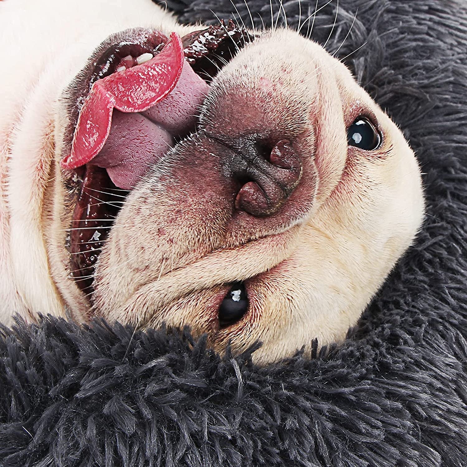 Black Dog Bed for Small Dogs Washble Calming Dog Bed for Small Dogs 23 Inch Fluffy Plush Black Dog Bed round Donut Machine Washable Small Pet Bed.