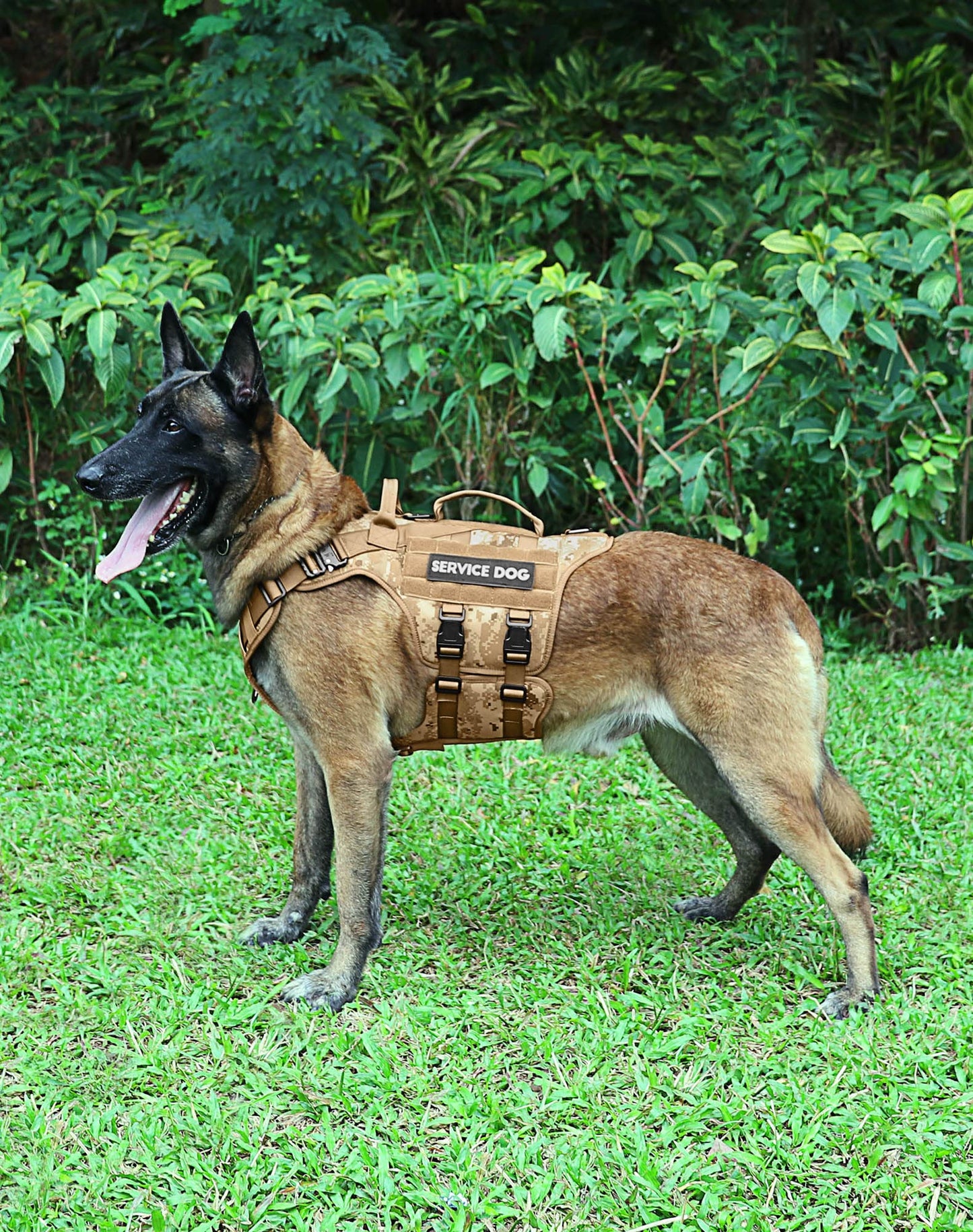 PETNANNY Tactical Dog Harness - No-Pull Service Vest for Large Breeds, with Hook & Loop Patch Panel & MOLLE System | Padded Handle for Walking, Hiking & Training (Desert Camo,L)