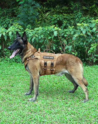 PETNANNY Tactical Dog Harness - No-Pull Service Vest for Large Breeds, with Hook & Loop Patch Panel & MOLLE System | Padded Handle for Walking, Hiking & Training (Desert Camo,L)