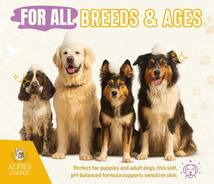 ALFIE'S CHOICE Oatmeal Dog Shampoo and Conditioner 5-in-1 | 16 fl oz | with Aloe, Biotin & Vitamin E | for Dry, Itchy & Sensitive Skin | Cleans, Deodorizes & Detangles for All Breeds
