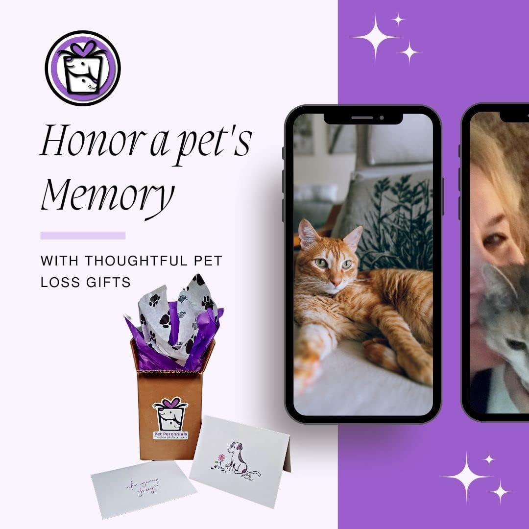 Pet Perennials Healing Hearts Dog Memorial Remembrance Soy Candle with Keepsake Stone (Embed) & Dog Pet Loss Sympathy Card