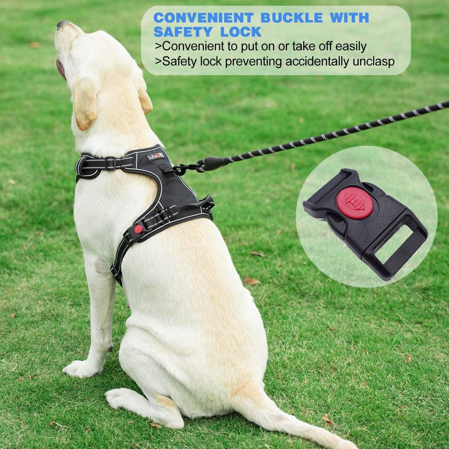 Tobedri No Pull Dog Harness Adjustable Reflective Oxford Easy Control Medium Large Dog Harness with a Free Heavy Duty 5Ft Leash