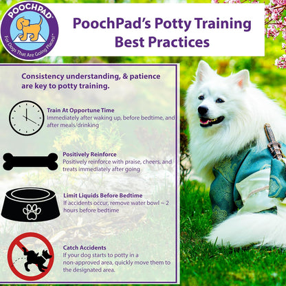 Potty Training Attractant Spray for Dogs & Puppies 16 Oz, Made in USA, Indoor Potty Pad & Outdoor Use, Dog Training & Behavior Aids Housebreaking Supplies