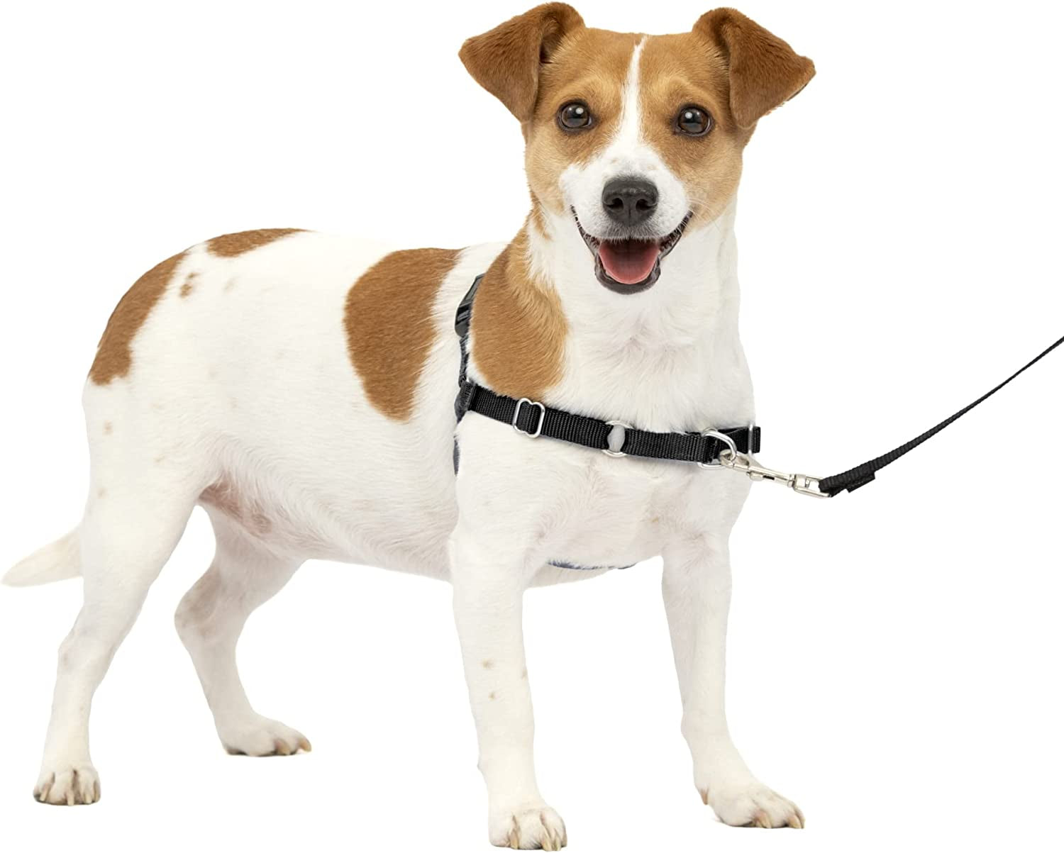 Petsafe Easy Walk No-Pull Dog Harness - the Ultimate Harness to Help Stop Pulling - Take Control & Teach Better Leash Manners - Helps Prevent Pets Pulling on Walks - Small, Charcoal/Black