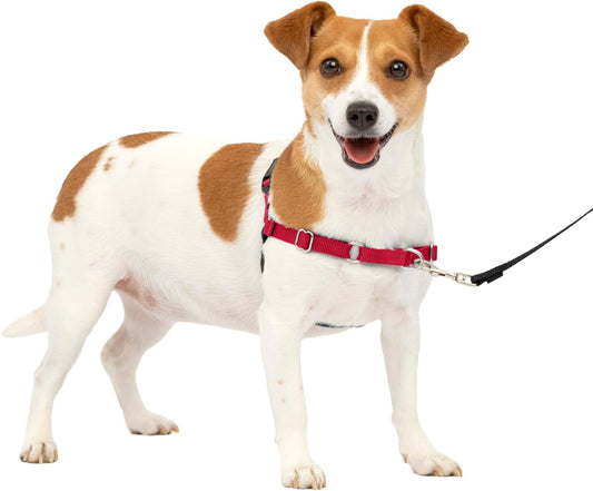 Petsafe Easy Walk No-Pull Dog Harness - the Ultimate Harness to Help Stop Pulling - Take Control & Teach Better Leash Manners - Helps Prevent Pets Pulling on Walks - Small, Red/Black