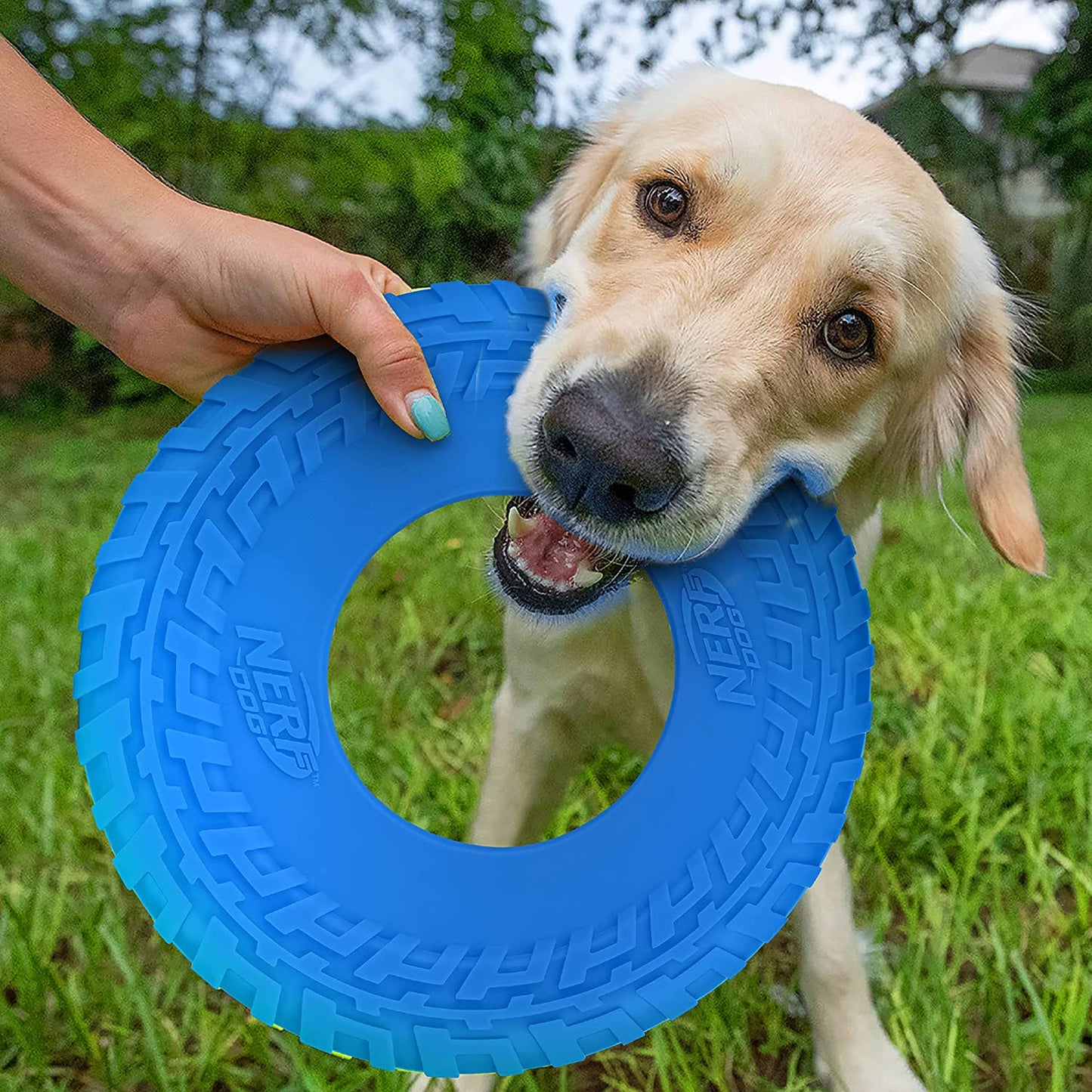 Nerf Dog 10In Enhanced Translucent TPR Tire Flyer - Blue,Medium Breeds