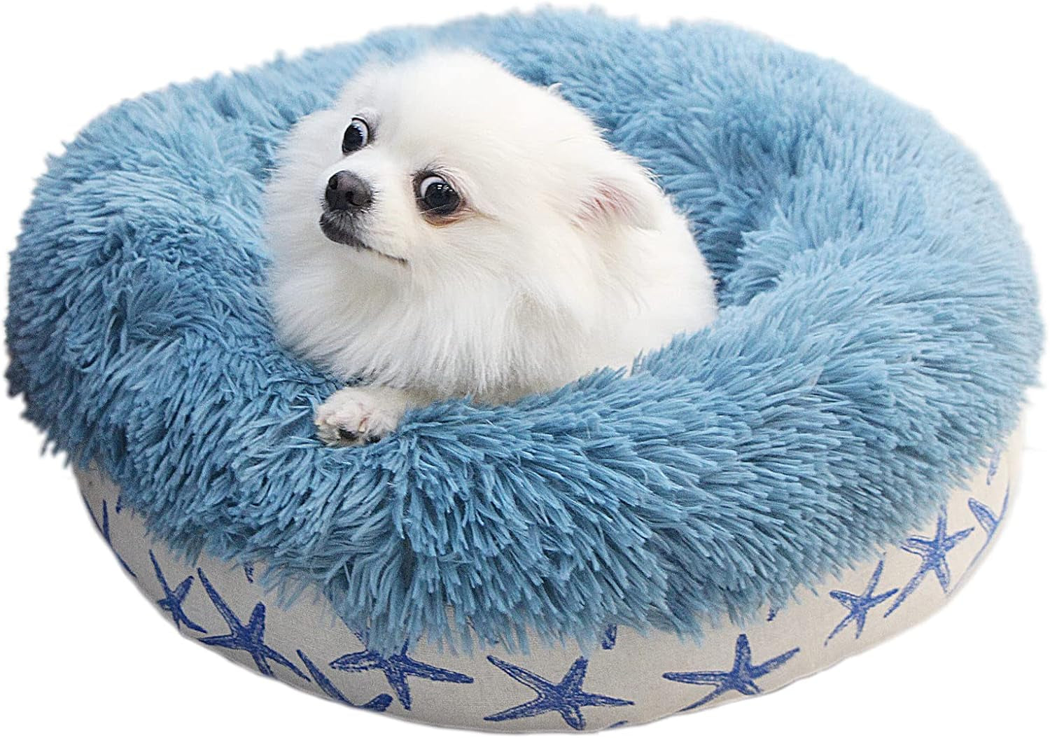 Puppy Beds for Small Dogs Washable 19 Inches Lake Blue Color Matching Starfish Calming and Anxiety Pet Beds Fluffy and Plush Durable Ocean Style Small Dog Bed