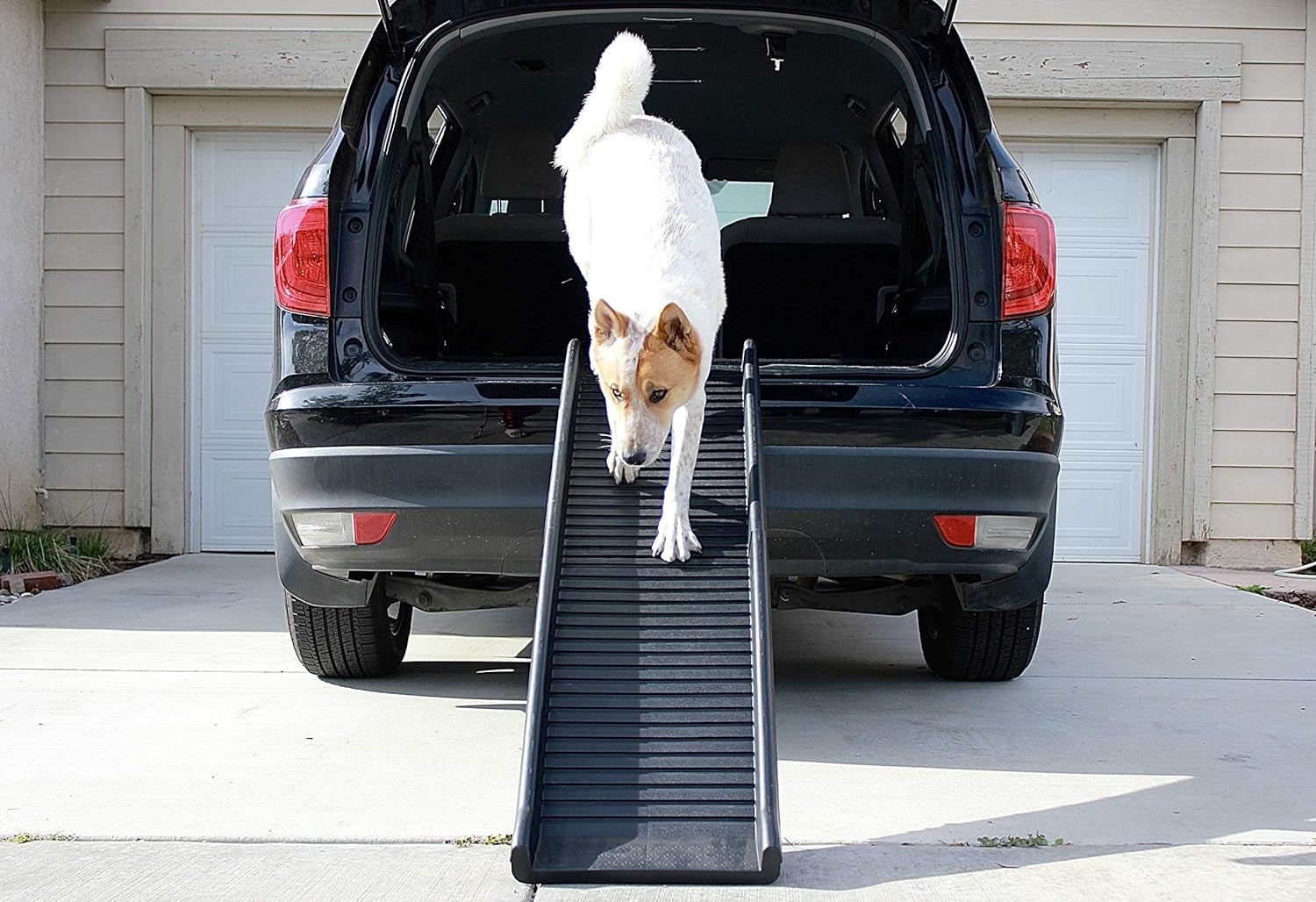 Pawstep 50524 61" Portable Folding Pet Ramp, Black