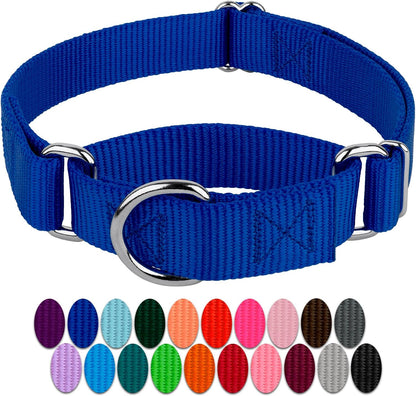 Country Brook Design - Martingale Heavyduty Nylon Dog Collar (Medium, 1 Inch Wide, Royal Blue)