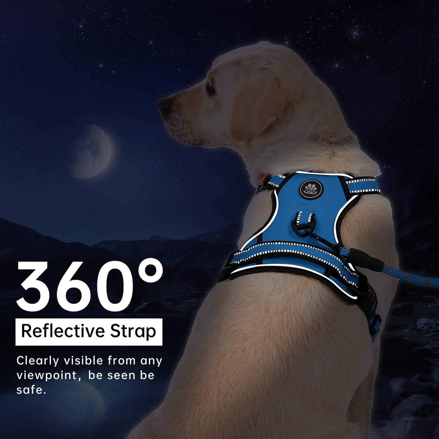 IVY&LANE No Pull Dog Harness for Medium Dogs, Dog Vest Harness with Leash, Safety Belt and Storage Strap, Fully Adjustable Harness, 360° Reflective Strip, Soft Handle (Blue, M)