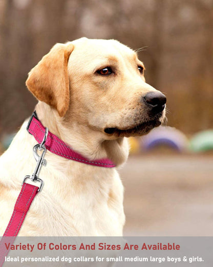 Reflective Dog Collar with Buckle Adjustable Safety Nylon Collars for Small Medium Large Dogs, Grass Green XL