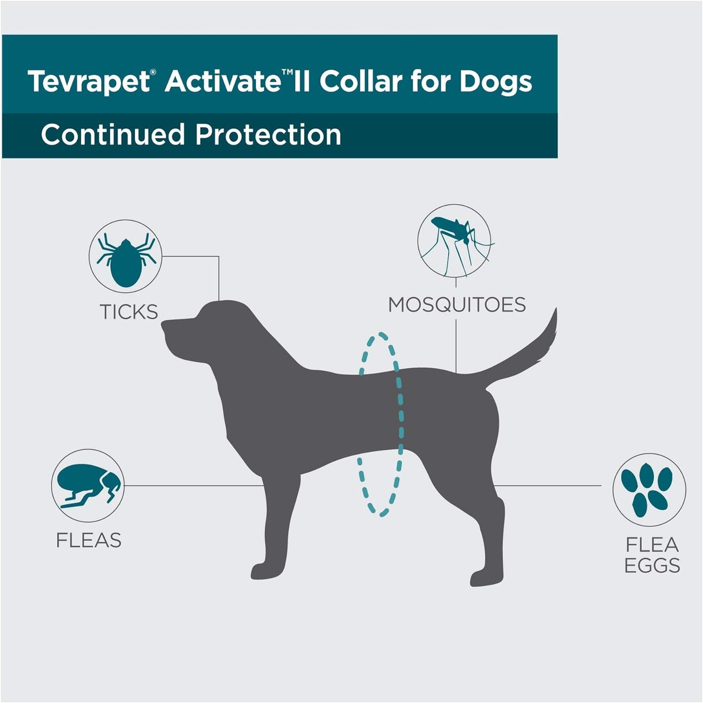 Tevrapet Activate II Flea and Tick Collar for Dogs, 12 Months Prevention, 2 Count, One Size Fits All