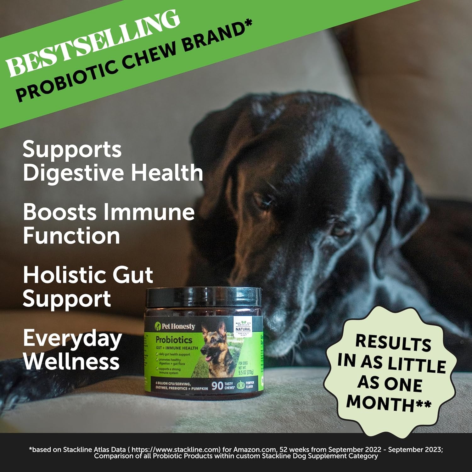 Pet Honesty Probiotics for Dogs - Digestive Enzymes Promotes Gut Health, Dog Probiotics for Diarrhea & Bowel Support, Immunity Health & Itch Relief, Prebiotics and Probiotics (Pumpkin 180 Ct)