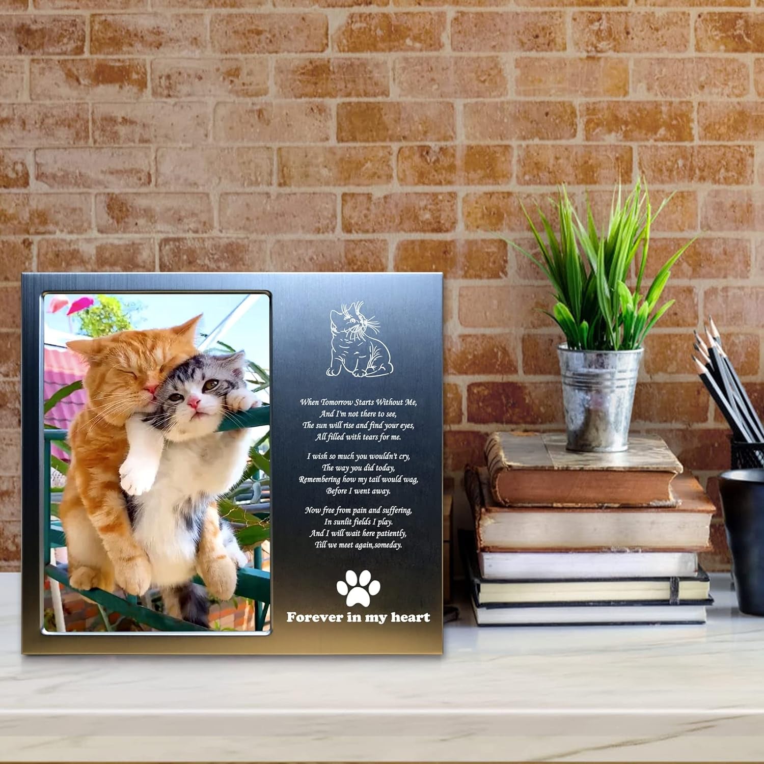 Pet Loss Gifts - Pet Memorial Gift (Opts) Personalized Metal - Sympathy Gift Memorial Picture Frame 4X6 for Loss of Dogs or Cats. (02B)