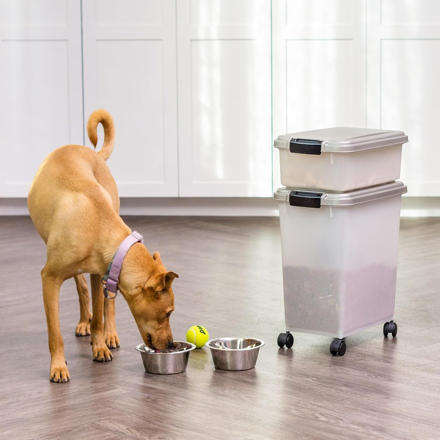 IRIS USA 30 Lbs & 11 Lbs Combo Airtight Dog Food Storage Container, Stackable Treat Box, 2-Cup Scoop, Wheels, Keep Fresh, Easy Mobility, Seafoam Blue