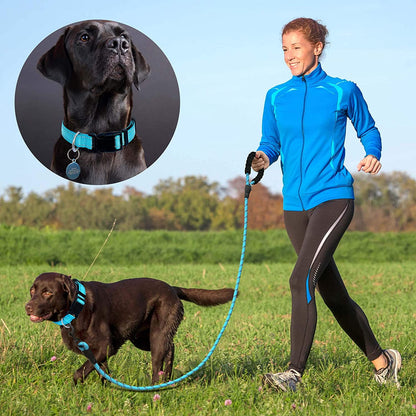 Reflective Dog Collar Padded with Soft Neoprene Breathable Adjustable Nylon Dog Collars for Small Medium Large Dogs (Small (Pack of 1), Blue Collar+Leash)