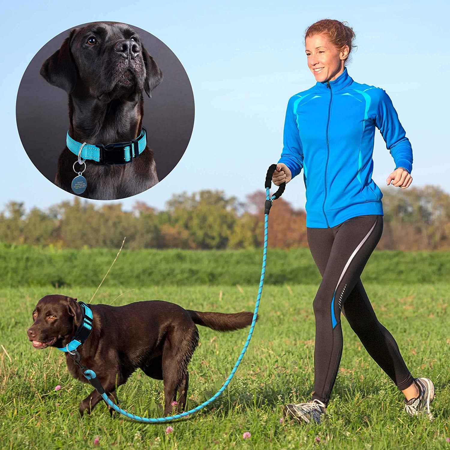Reflective Dog Collar Padded with Soft Neoprene Breathable Adjustable Nylon Dog Collars for Small Medium Large Dogs (Large (Pack of 1), Vivid Blue Collar+Leash)