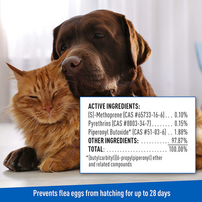 Adams plus Flea & Tick Shampoo with Precor for Cats, Kittens, Dogs & Puppies over 12 Weeks of Age |Sensitive Skin Flea Treatment for Dogs & Cats |Kills Adult Fleas, Flea Eggs, Ticks, and Lice |6 Oz