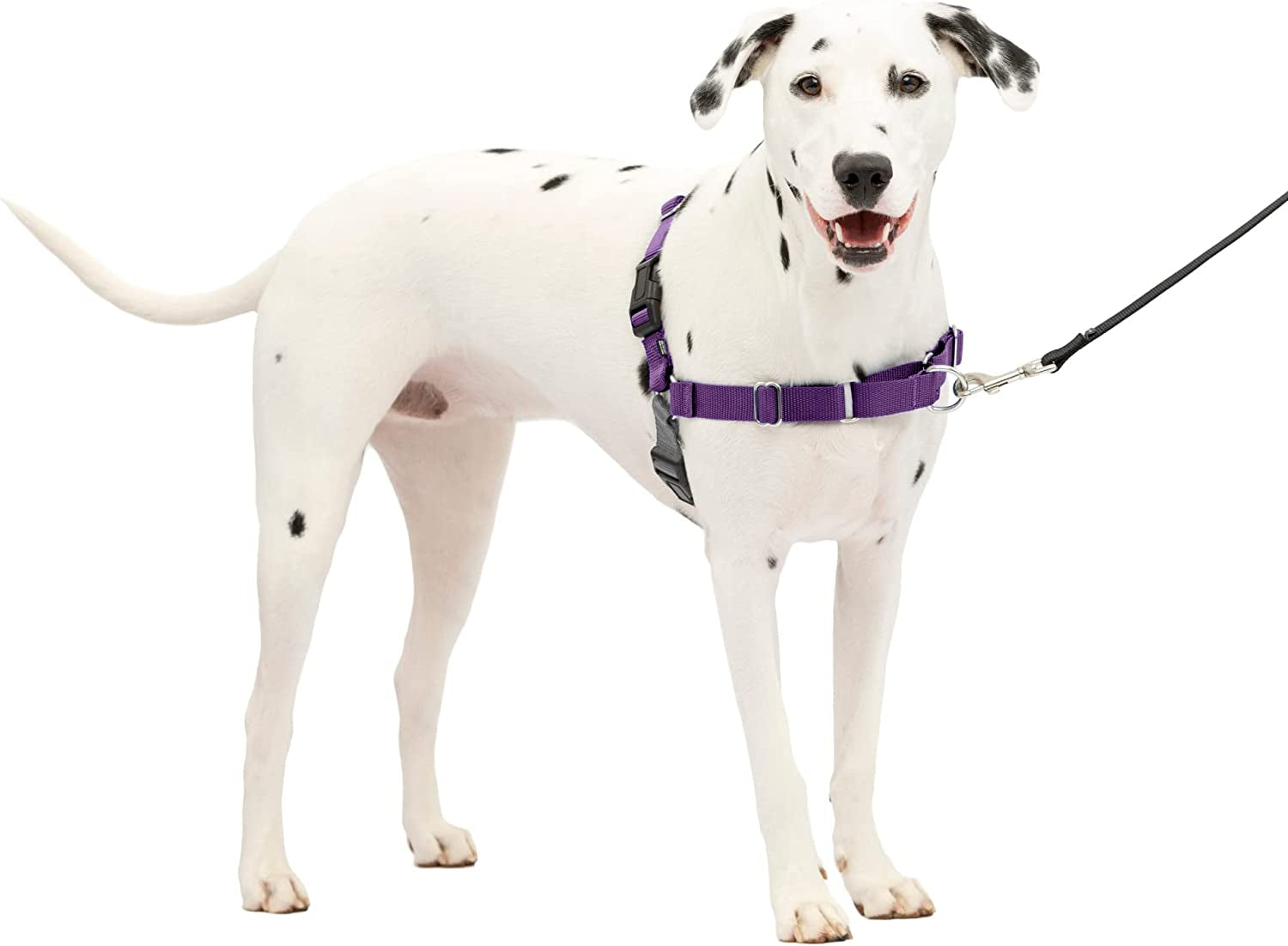 Petsafe Medium/Large Dog Harness, Deep Purple/Black - No-Pull, Patented Martingale Loop Design, Front Leash Attachment, Lightweight & Breathable, Teach Better Leash Manners