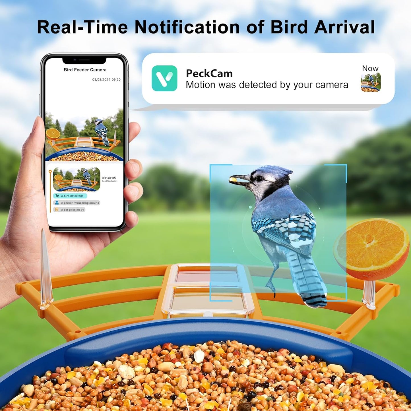 PeckCam® Bird Feeder with Camera+Solar Panel+7 Add-on, 2K HD AI Identify 10000+ Birds, Auto Detection & Notify Wireless Outdoor Bird House Camera Bird Watching Gift for Bird Lover