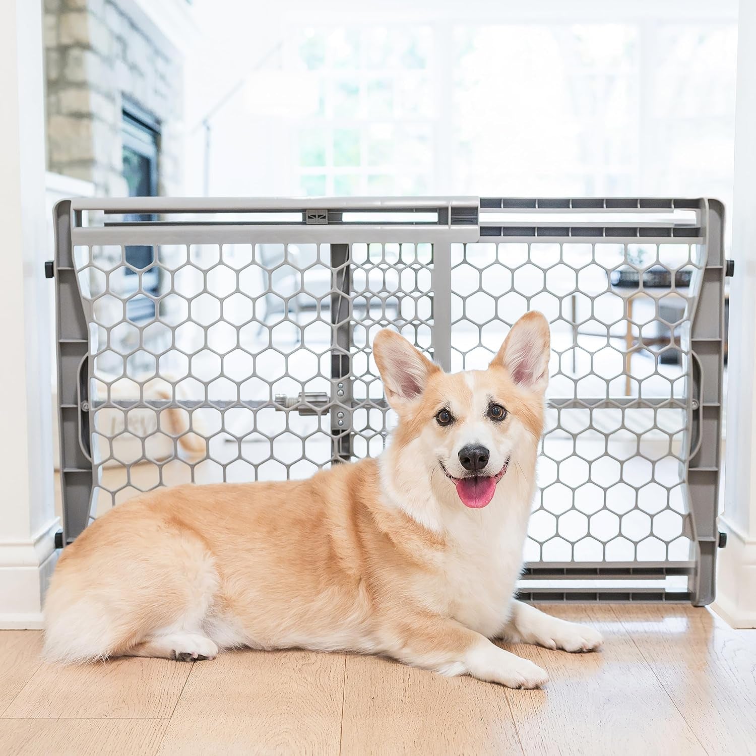 Carlson Pet Easy Fit Portable Pet Gate, Fits Openings 28-42" Wide, 23" Tall, Rubber Pads to Protect Walls, Durable Dog Gate for Doorways, Patented Pressure Mount Ensures Perfect Fit 28-42" Wide, Gray