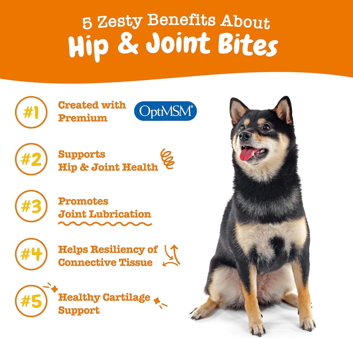 Zesty Paws Hip and Joint Supplement for Dogs - Glucosamine for Dog Joint Supplement - with Chondroitin, MSM, Vitamins C and E for Dog Joint Relief - Mobility Bites Bacon – 50 Count