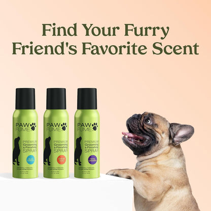 PAWFUME Premium Grooming Spray Dog Spray Deodorizer Perfume for Dogs - Dog Cologne Spray Long Lasting Dog Sprays - Dog Perfume Spray Long Lasting after Bath- Dog Deodorizing Spray (Lavender)