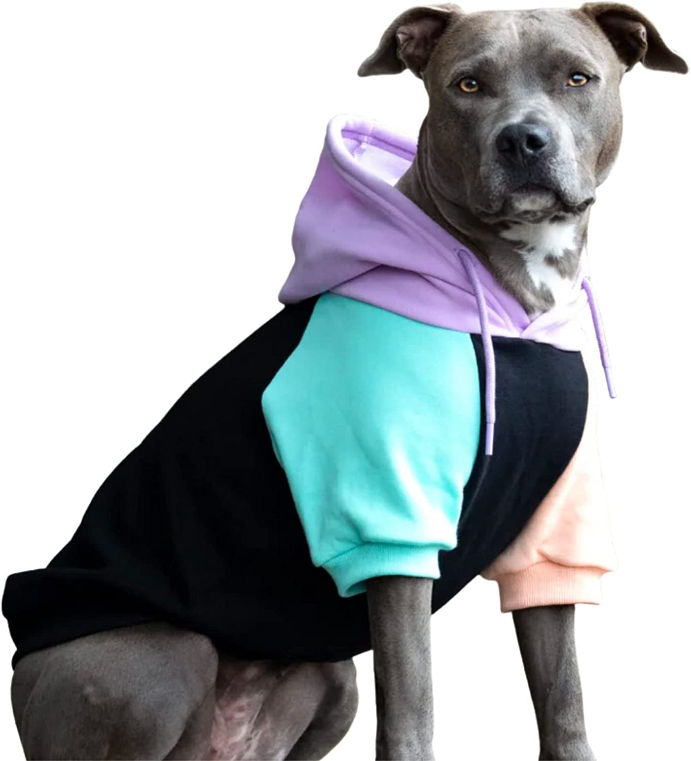 Spark Paws Dog Hoodie - Premium Quality, Buttery Soft, Superior Comfort and Fit, Calming Fleece Interior, Suitable for All Breeds -Green Skydye, 4XL