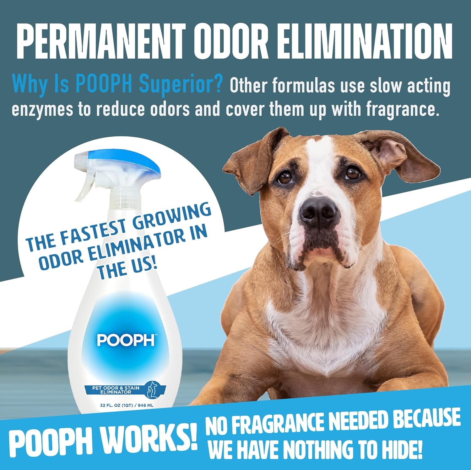 Pooph Pet Odor Eliminator, 32Oz Spray - Dismantles Odors on a Molecular Basis, Dogs, Cats, Freshener, Urine, Poop, Pee, Deodorizer, Natures, Puppy, Fresh, Clean, Furniture, Potty, Safe