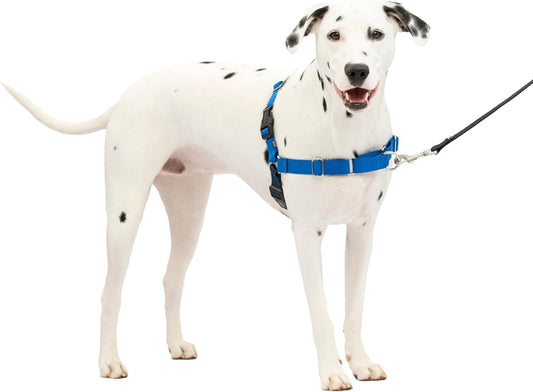 Petsafe Medium/Large Dog Harness - No-Pull Harness with Martingale Loop & Front Attachment - Teach Better Leash Manners - Royal Blue/Navy Blue