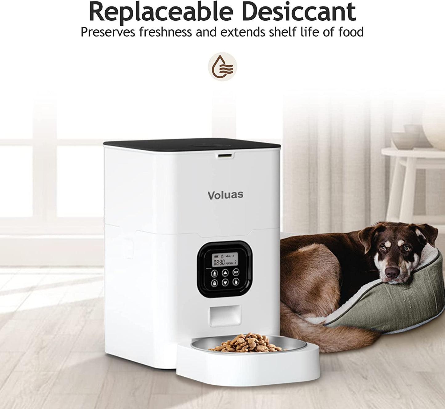 VOLUAS Cat Dry Food Dispenser with Timer, Automatic Cat Feeders with Desiccant Bag, Programmable Portion Size Control 4 Meals per Day, 10S Voice Recorder