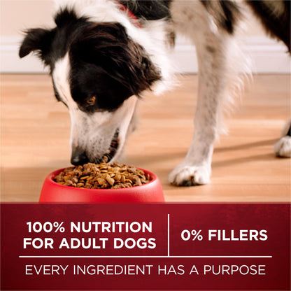 Purina One True Instinct Dry Dog Food for Adult Dogs, Real Turkey & Venison, 36 Lb Bag