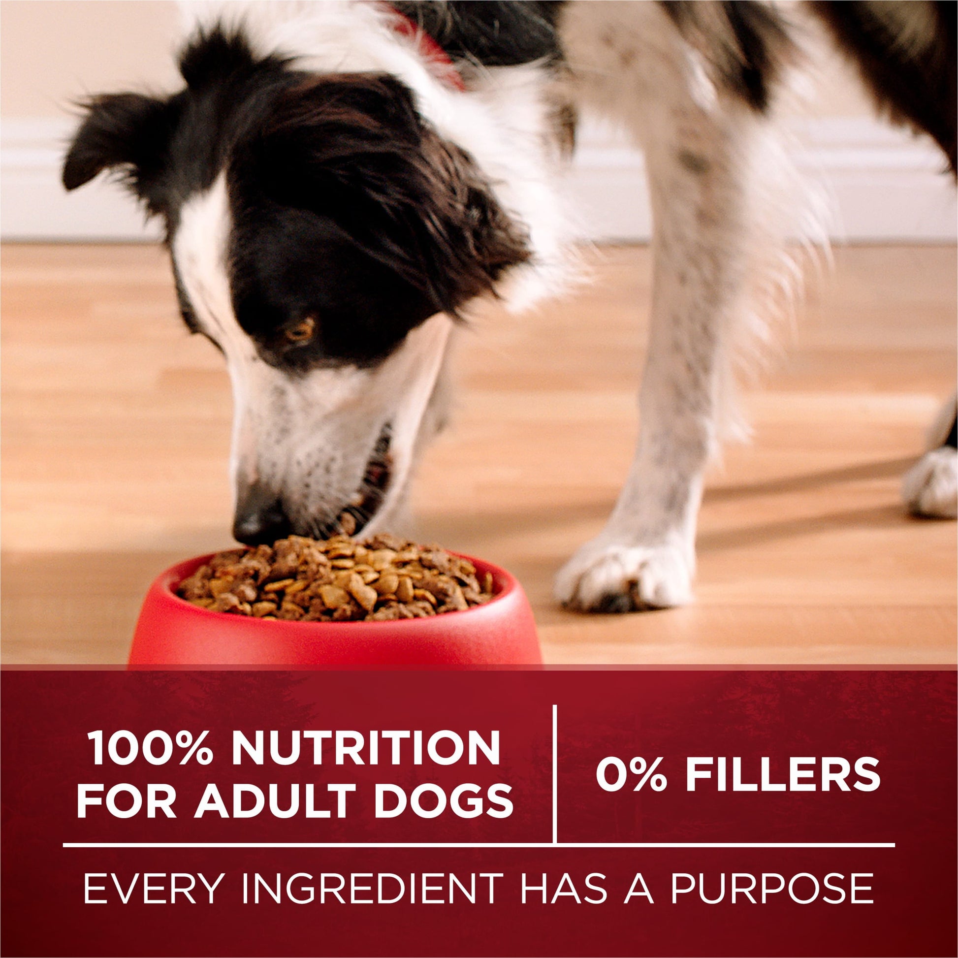 Purina One True Instinct Dry Dog Food for Adult Dogs, Real Turkey & Venison, 15 Lb Bag