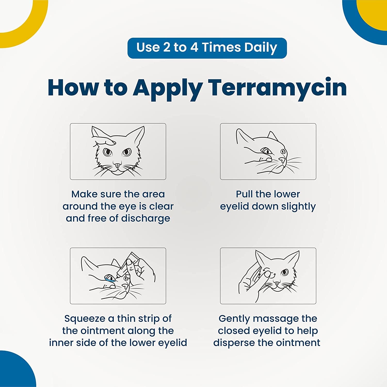 Terramycin Antibiotic Ointment for Eye Infection Treatment in Dogs, Cats, Cattle, Horses, and Sheep, 0.125Oz Tube