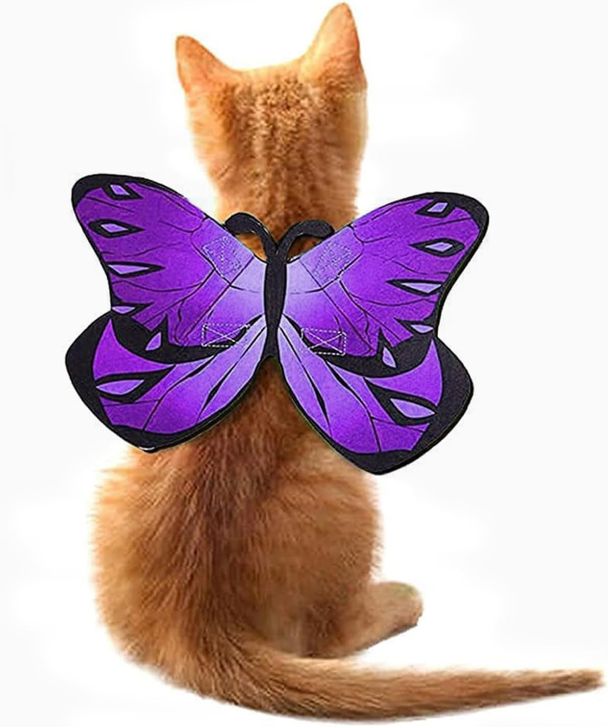 Cat Dog Butterfly Costume Wings for Halloween Party Decoration, Halloween Dog Cat Costume, Puppy Cat Dress up Accessories