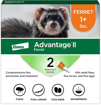 Advantage II Ferret Vet-Recommended Flea Treatment & Prevention | Ferret 1+ Lbs. | 2-Month Supply