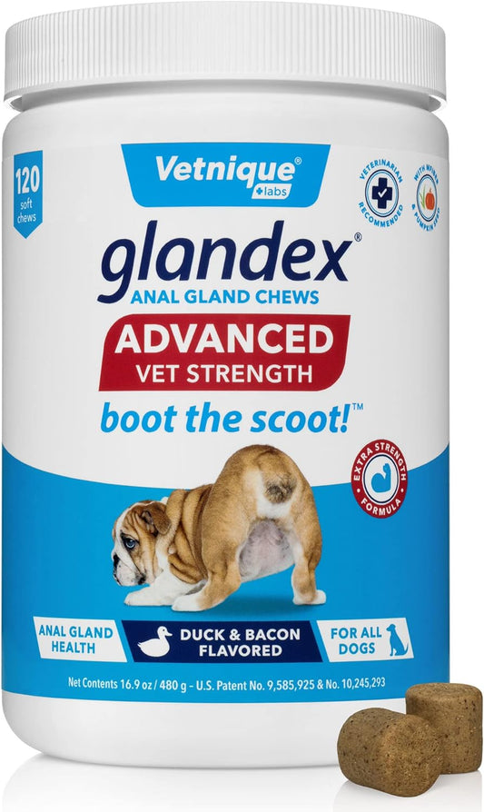 Glandex Anal Gland Soft Chew Treats with Pumpkin for Dogs Digestive Enzymes, Probiotics Fiber Supplement for Dogs Boot the Scoot (Advanced Strength Duck/Bacon Chews (Vegetarian), 120Ct)