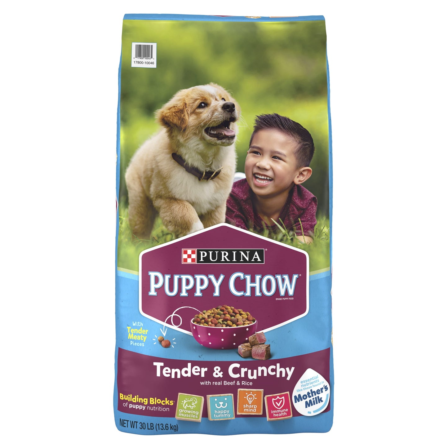 Purina Puppy Chow High Protein Dry Puppy Food, Tender & Crunchy with Real Beef, 30 Lb. Bag