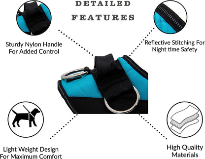 Shawnco Essential Dog Harness, No-Pull Pet Vest with 3 Leash Clips, No Choke, Reflective, Adjustable and Padded, for Easy Walking and Training for Small, Medium and Large Dogs (Pacific Blue, XS)