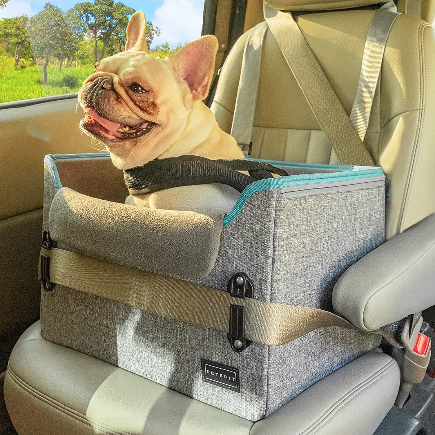 Petsfit Dog Booster Seat, Portable Dog Car Seats for Small Dogs with Clip-On Leash, Patent Safe Buckles, Dog Booster Car Seat Perfect for Small Pets up to 25Lbs (Light Grey)