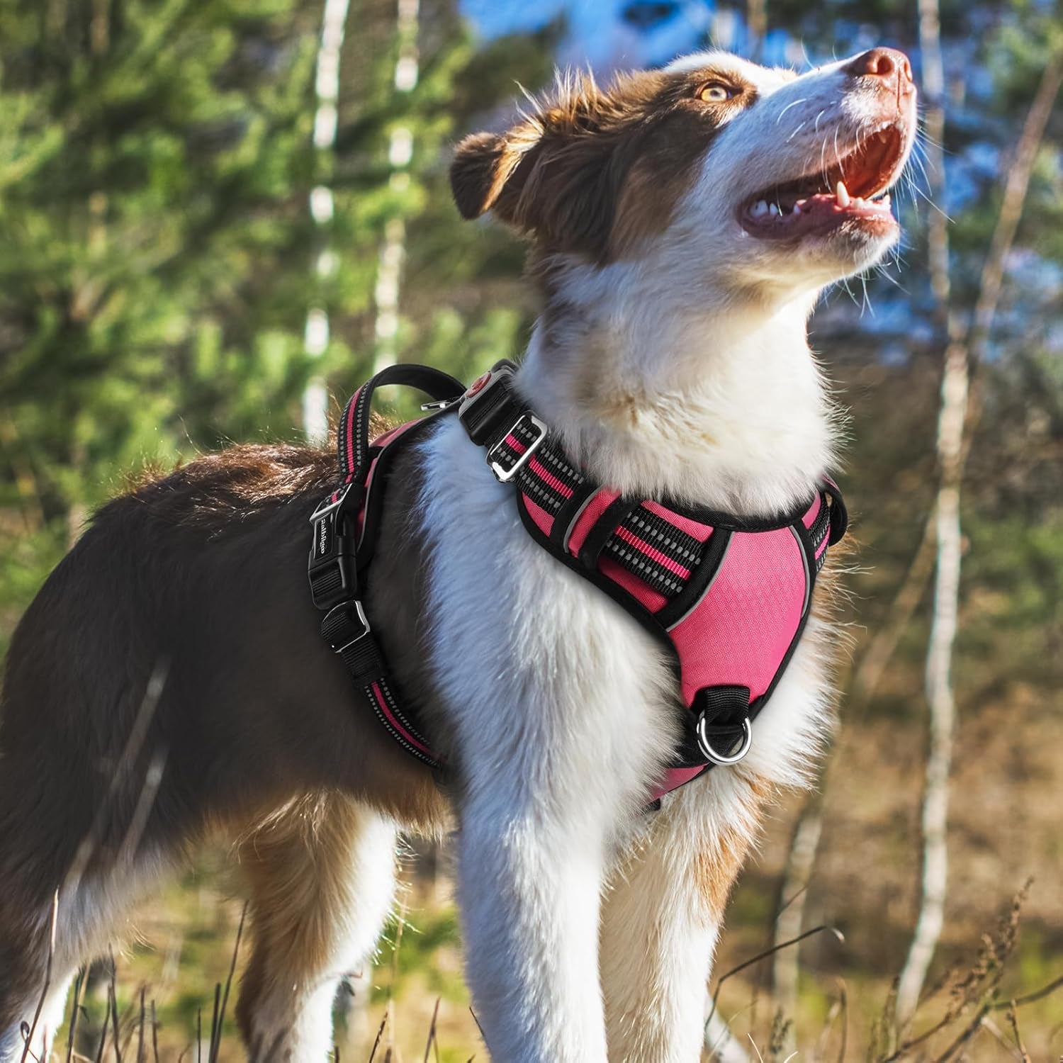 Rabbitgoo Dog Harness Medium Sized, No Pull Dog Vest Harness with 3 Buckles, Adjustable Soft Padded Pet Harness with Easy Control Handle and Reflective Strips, Pink, M