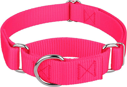 Country Brook Design - Lavender Martingale Heavyduty Nylon Dog Collar - 21 Vibrant Color Options (1 Inch Width, Large)
