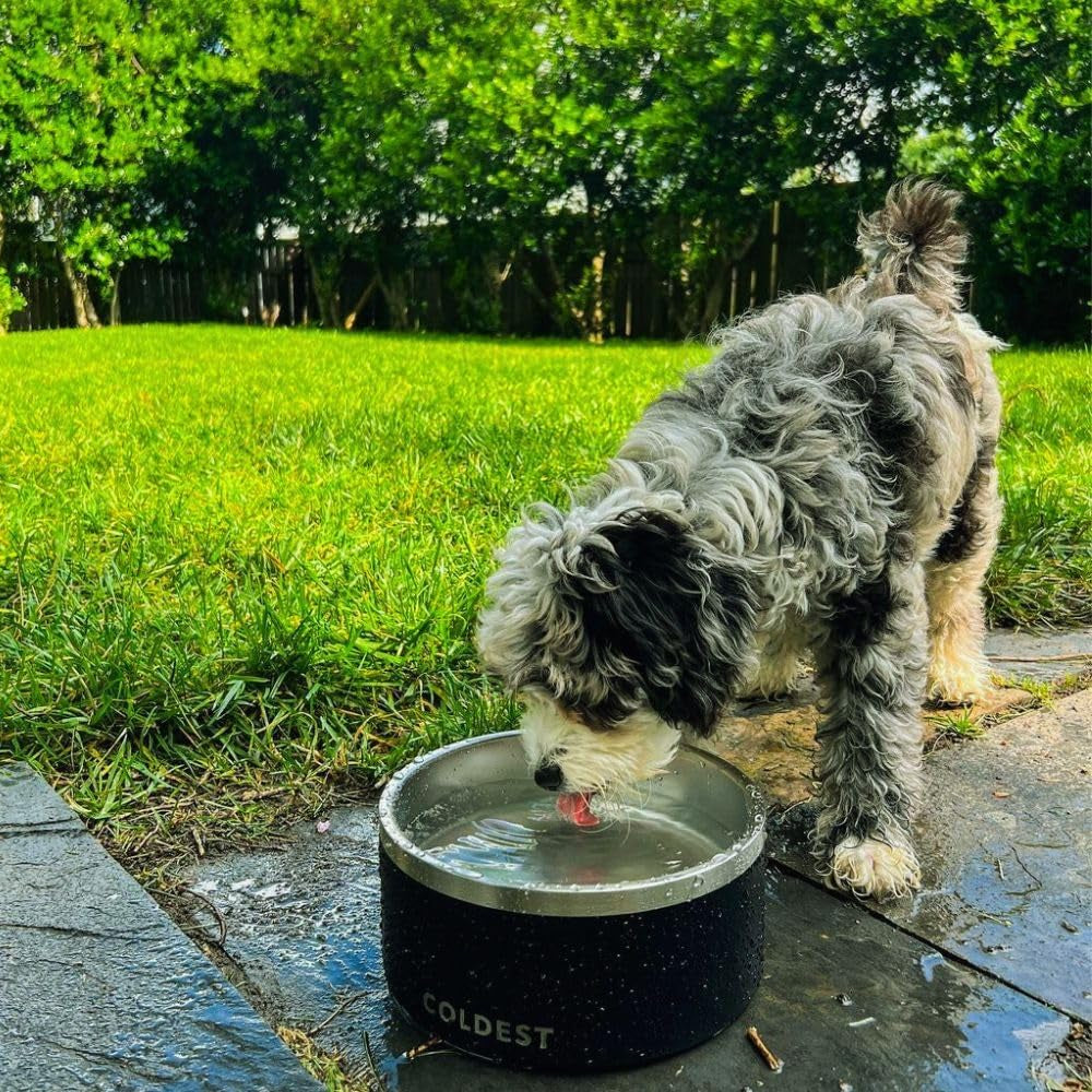 Coldest Dog Bowl, anti Rust Metal & Non Slip Dog Bowls Large, Spill Proof Heavy Duty 3 Layers Insulated Dog Bowl, Food & Water Bowl for Dogs, Cats, Dishwasher Safe (42 Oz, Saturns Purple Glitter)