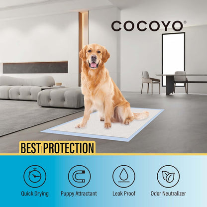 COCOYO Best Value Training Pads 30 Count | Dog Pee Pads | Super Absorbent Puppy Pads