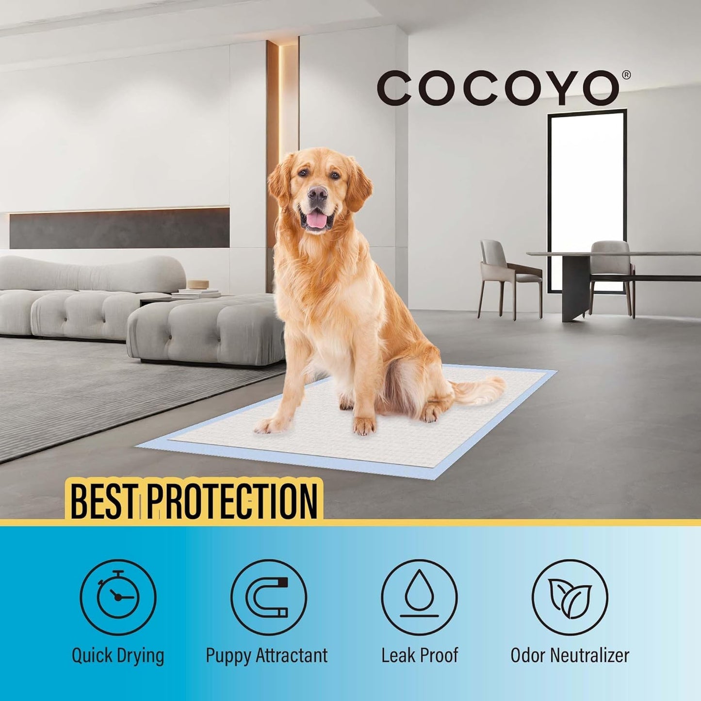 COCOYO Dog Training Pads 丨 Carbon Absorb Eliminating Urine Odor Doggie Training Pads 丨 Premium Charcoal Dog Pee Pads (100 Count, 22X22 Inch),Gray